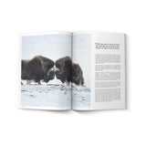 Alpine Modern Magazine Issue 05